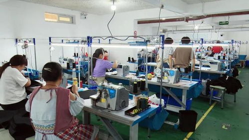 商州 小小制衣廠 就業(yè)大舞臺