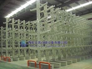 陜西西安倉(cāng)儲(chǔ)貨架與懸臂貨架全解析 價(jià)格、型號(hào)規(guī)格及網(wǎng)絡(luò)資源概覽