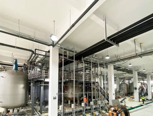 科學(xué)家發(fā)現(xiàn)衰老逆轉(zhuǎn)關(guān)鍵分子，富人圈爭(zhēng)相追捧，市場(chǎng)規(guī)?；蜻_(dá)300億