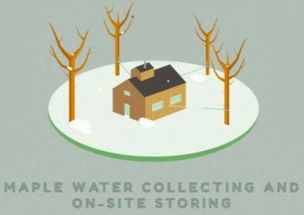 楓樹汁進(jìn)口全鏈路解析 從海外源頭到互聯(lián)網(wǎng)終端的成功之道